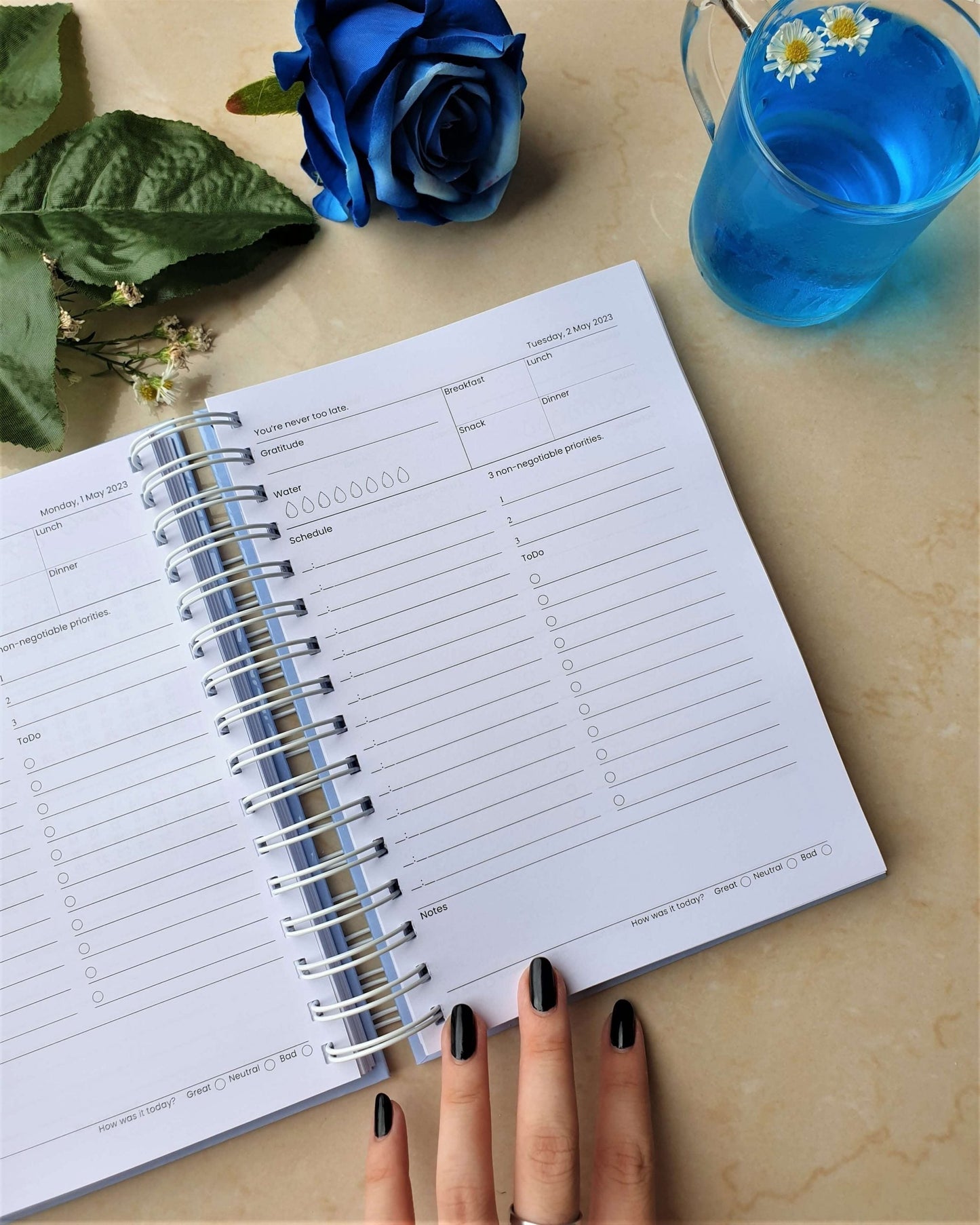 Flower Blossom 2024 Daily Planner