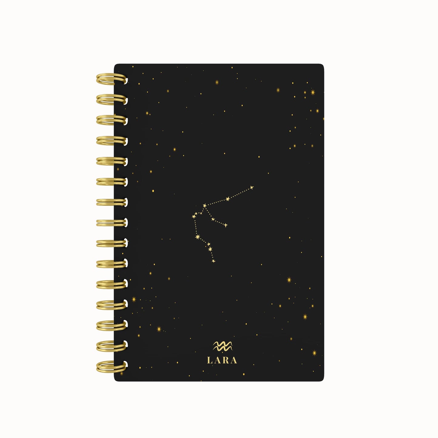 Zodiac Foil 2026 Daily Planner