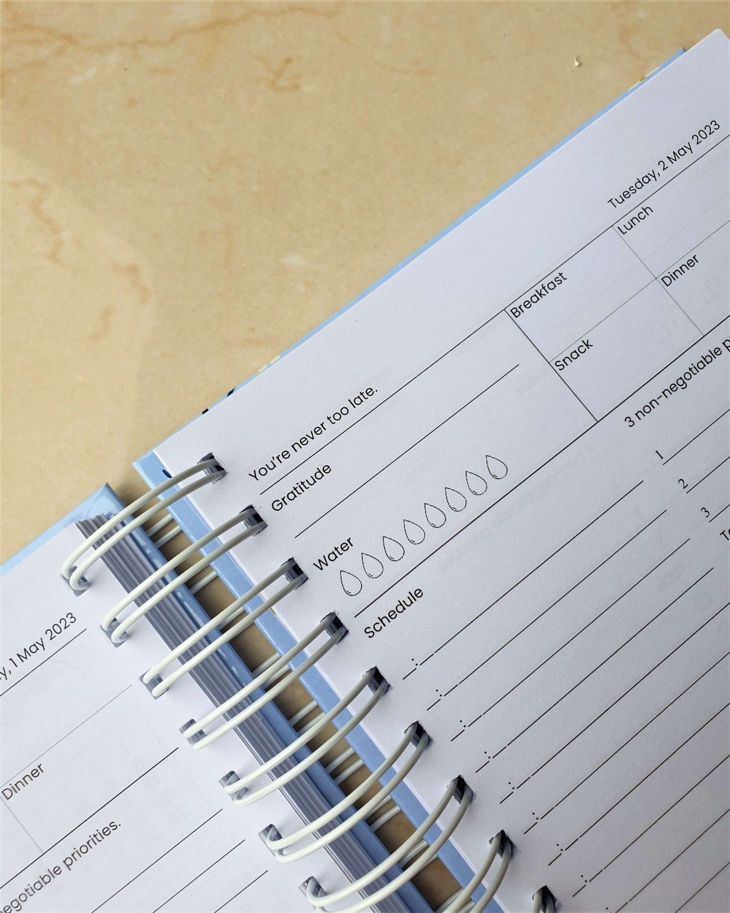 Flower Blossom 2024 Daily Planner