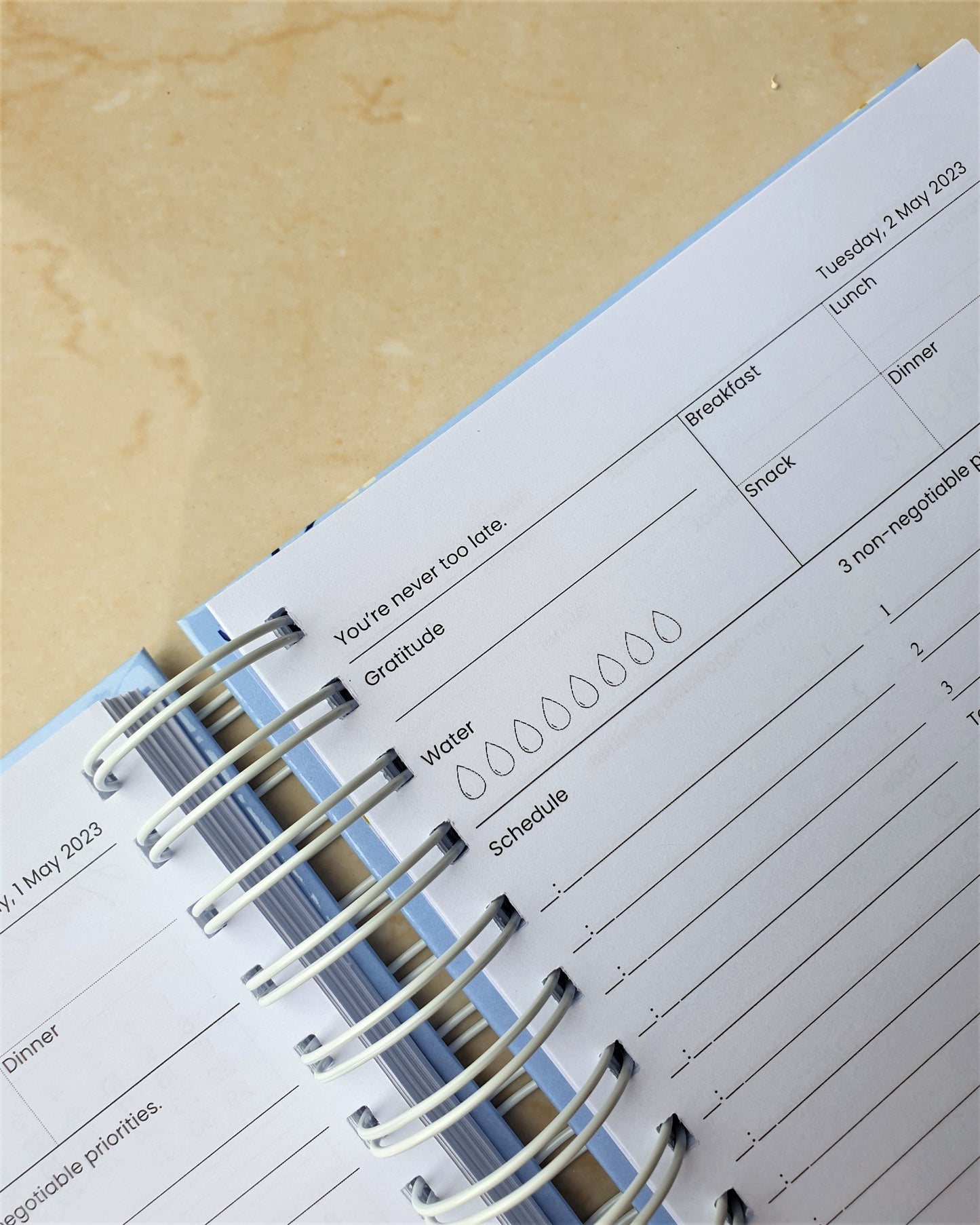 C'est la Vie Floral 2024 Daily Planner