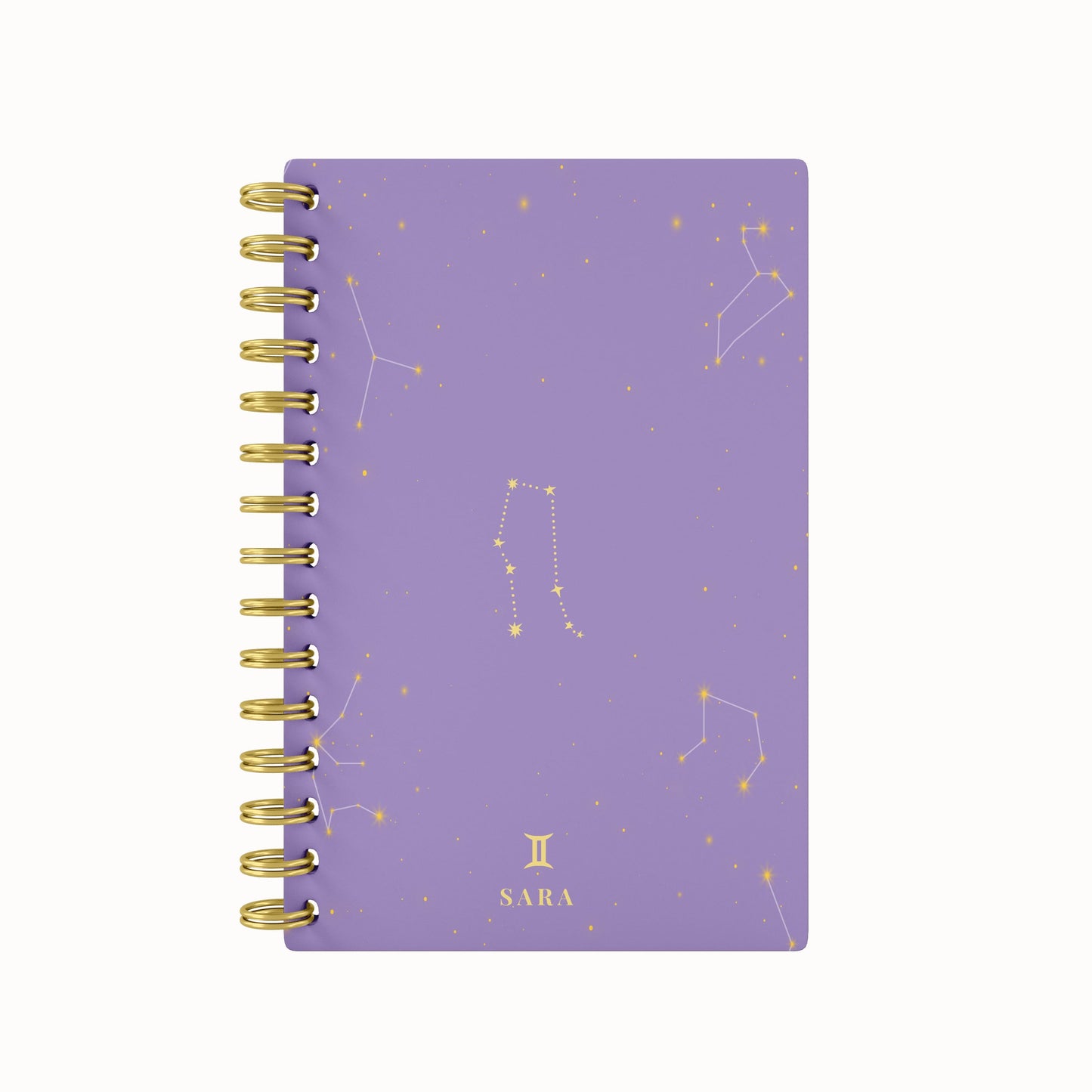 Zodiac Foil 2026 Daily Planner
