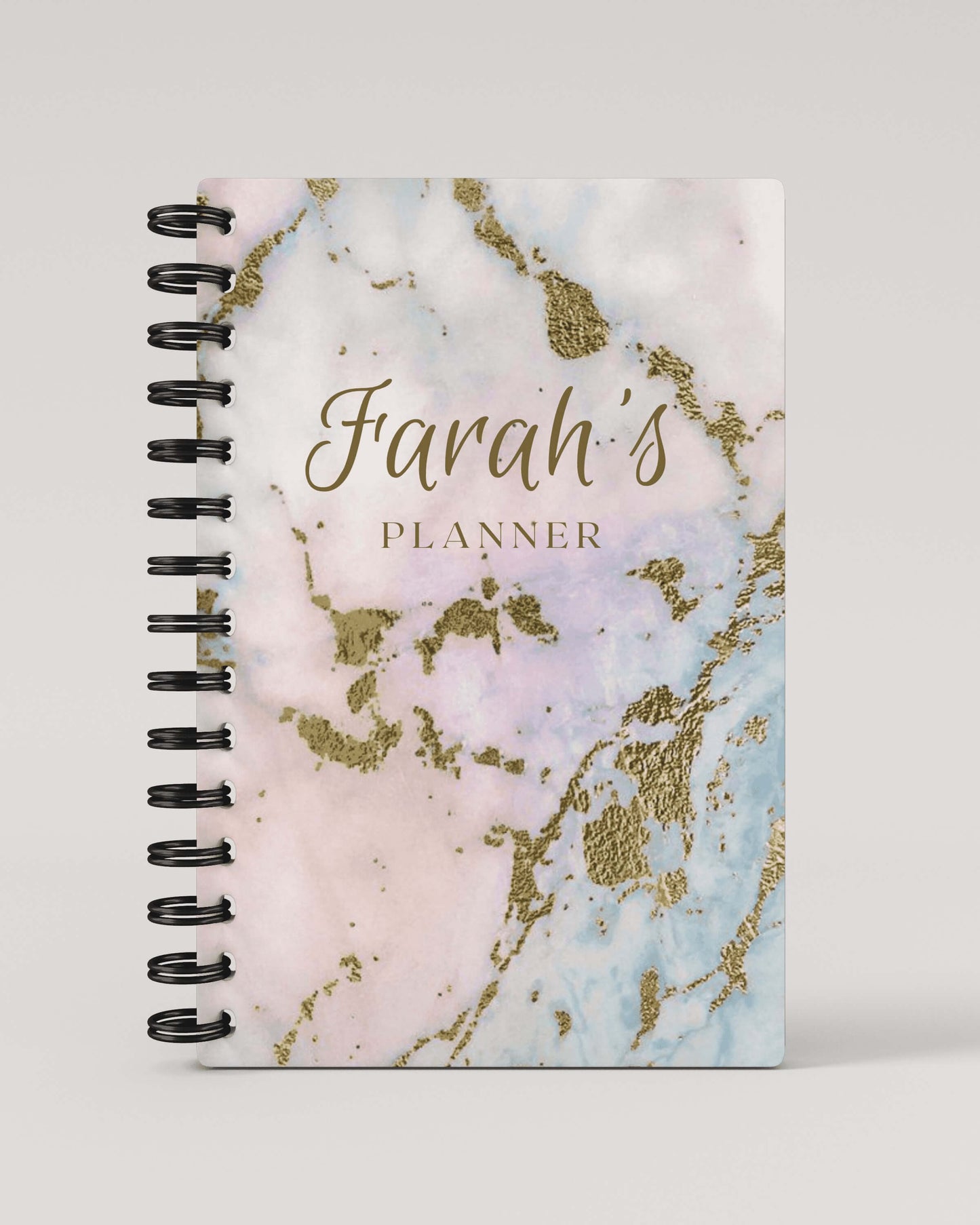 Rose Green Hue Marble 2024 Daily Planner