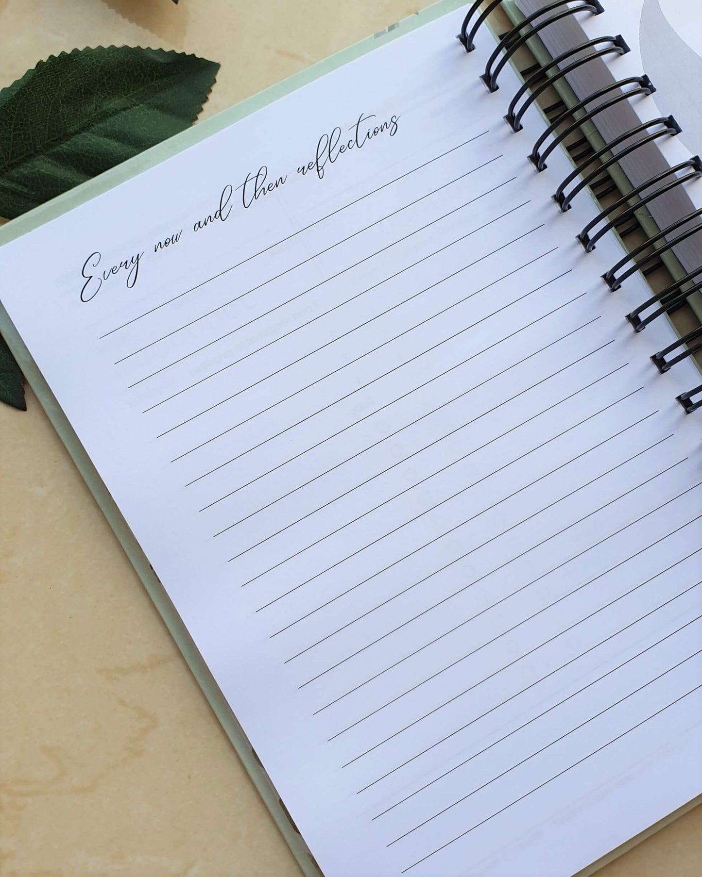 Flower Blossom 2024 Daily Planner