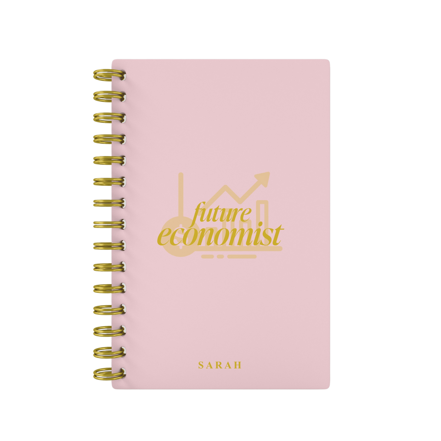 Future Economist - Foil Lined Notebook