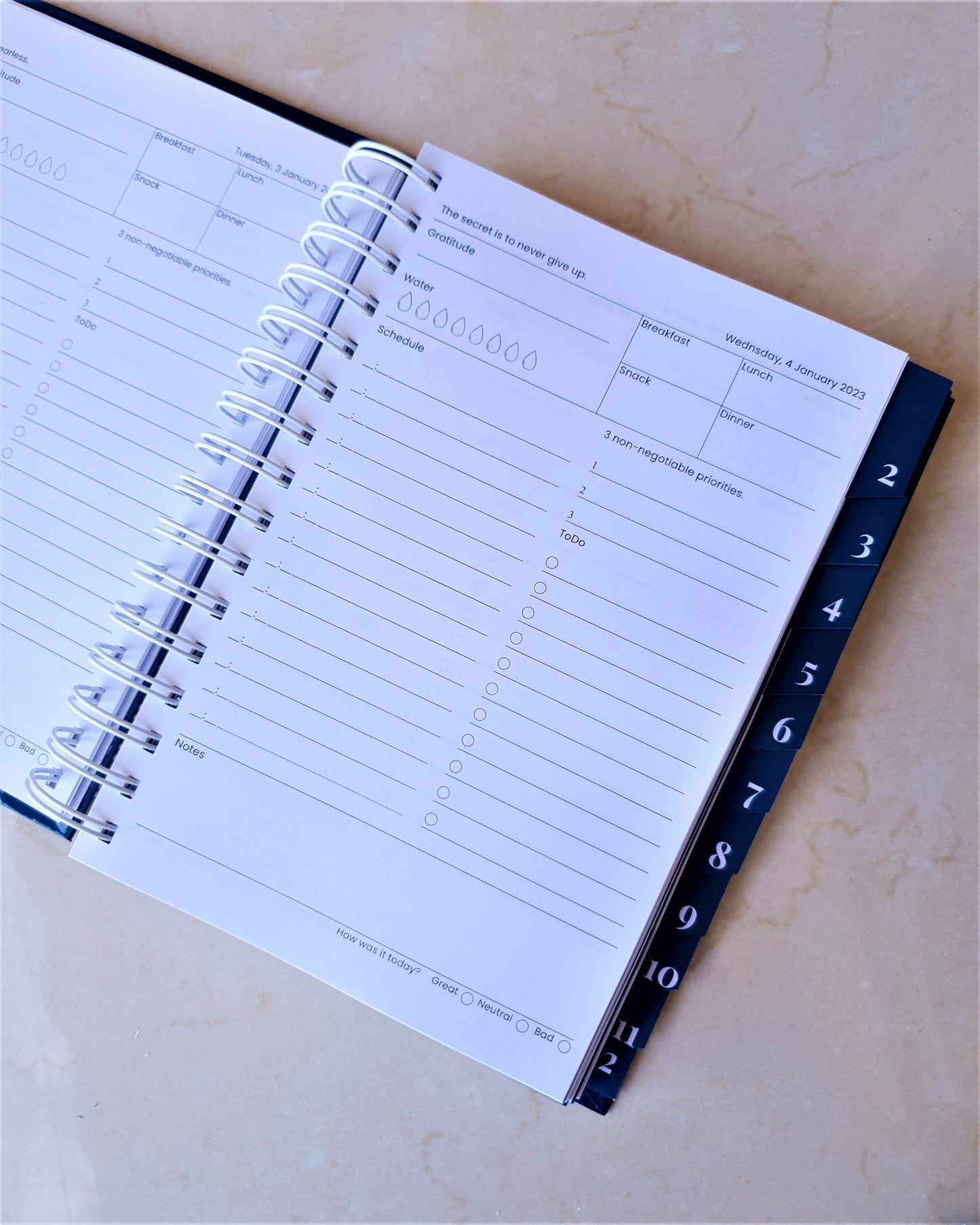 Blue smiles 2024 Daily Planner