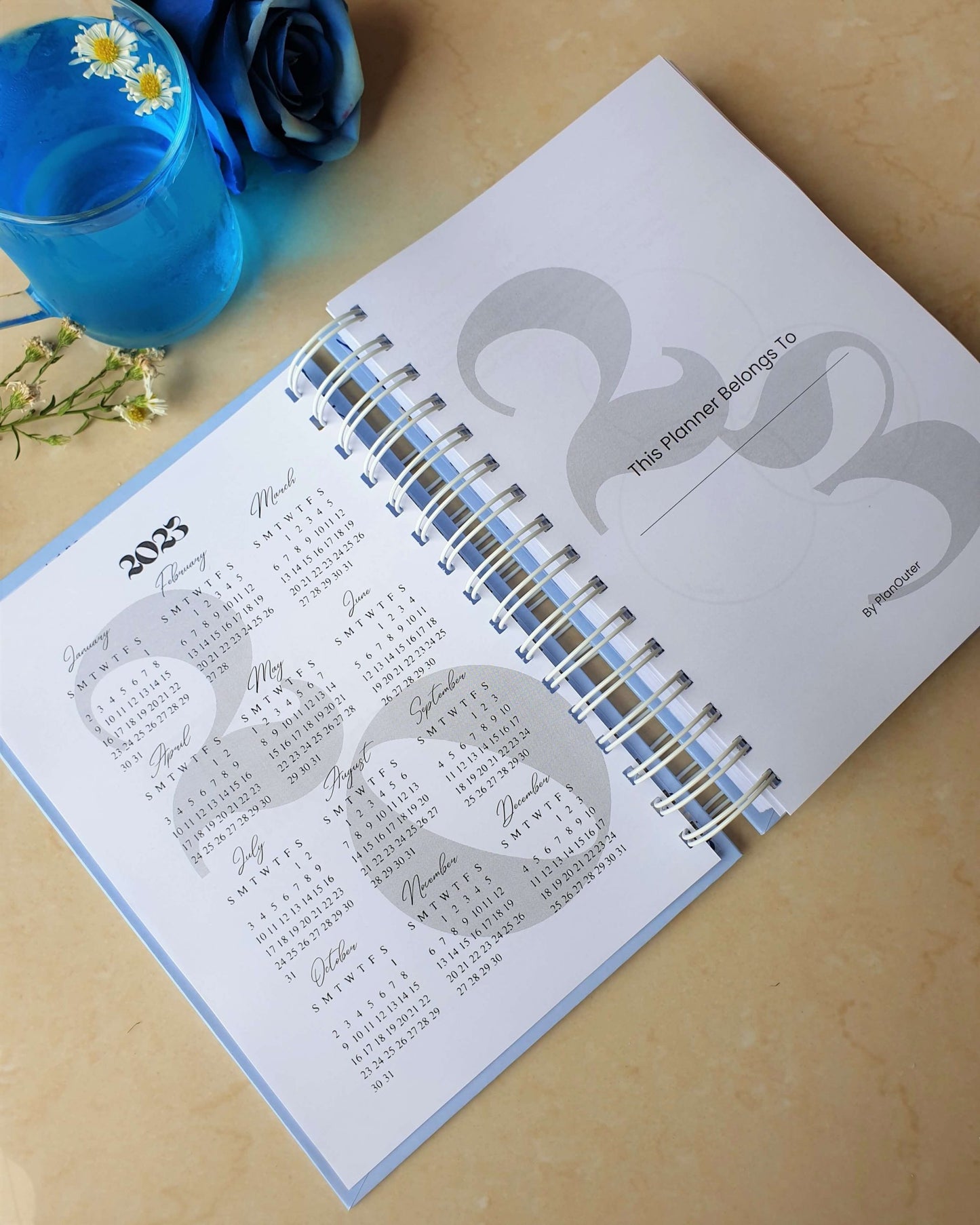 Blue smiles 2024 Daily Planner