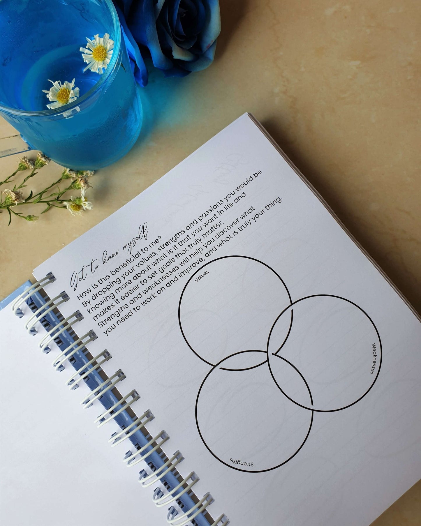 Blue smiles 2024 Daily Planner