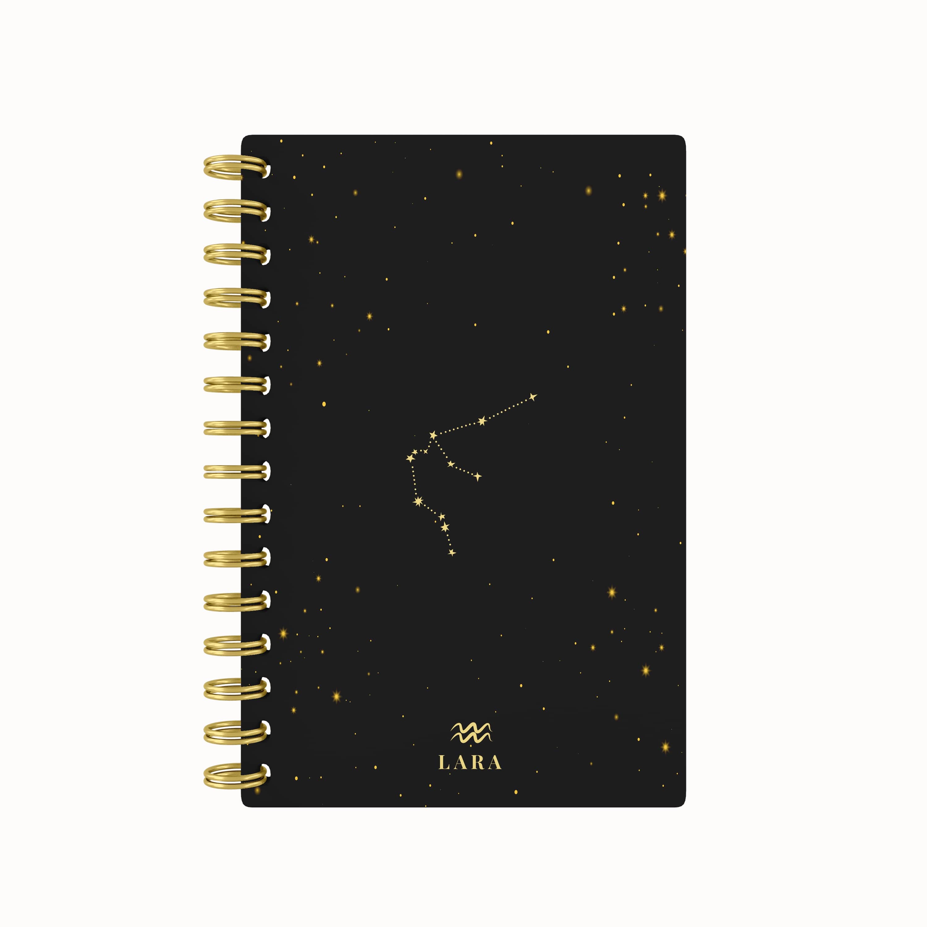 Zodiac Foil 2026 Daily Planner