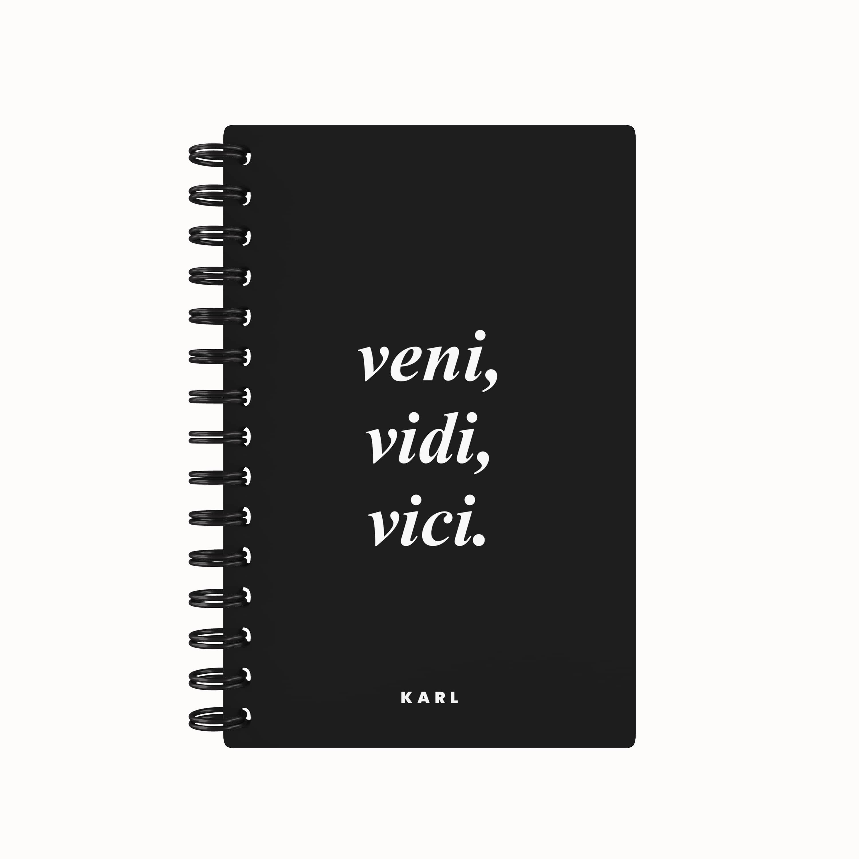 Latin I Came, I Saw, I Conquered 2026 Desk Planner