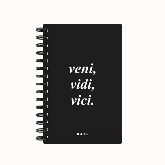 Latin I Came, I Saw, I Conquered 2026 Desk Planner