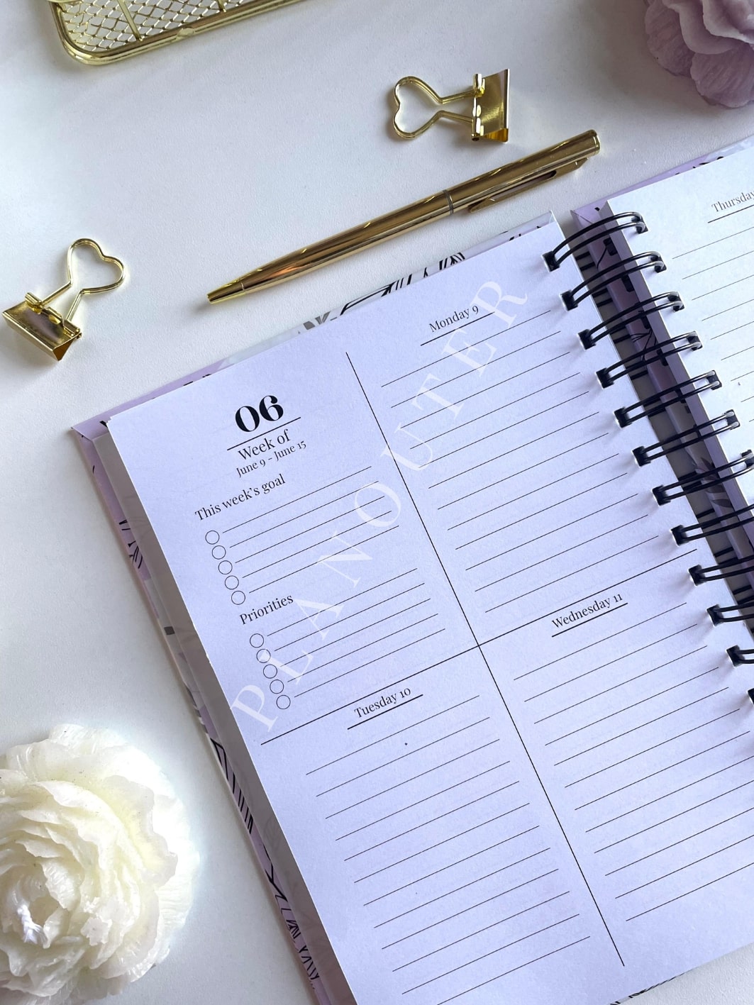 Solid Name 2025 Weekly Planner