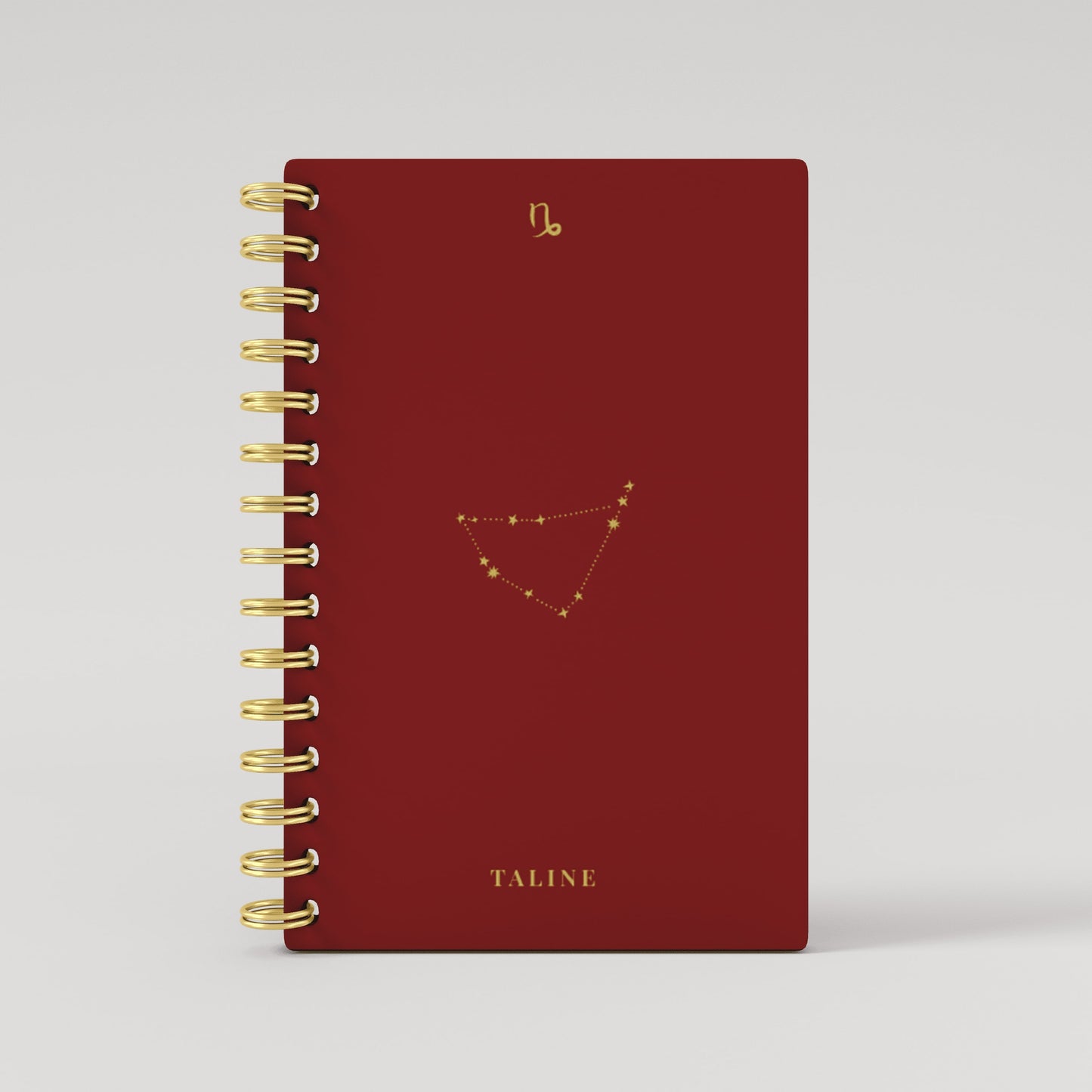 Gold Foil Constellation Zodiac Sign 2025 Daily Planner