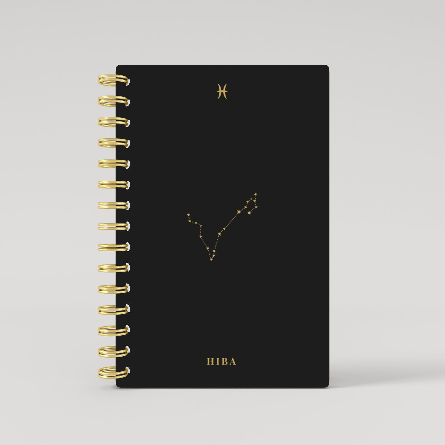 Gold Foil Constellation Zodiac Sign 2025 Daily Planner