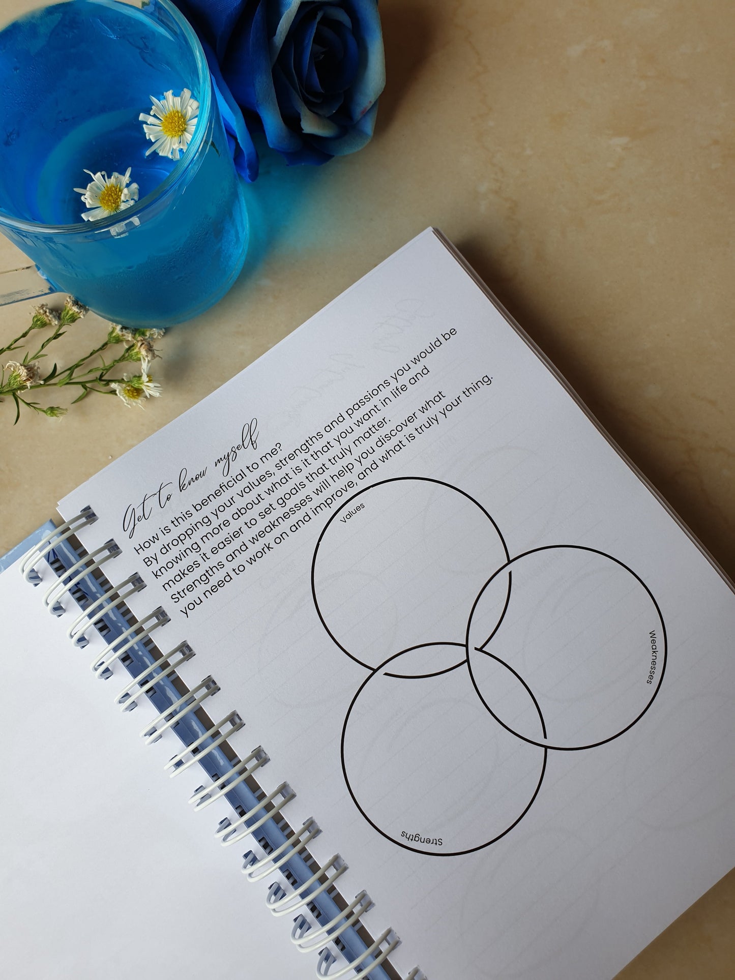 Pastel Blue Flowers 2024 Daily Planner