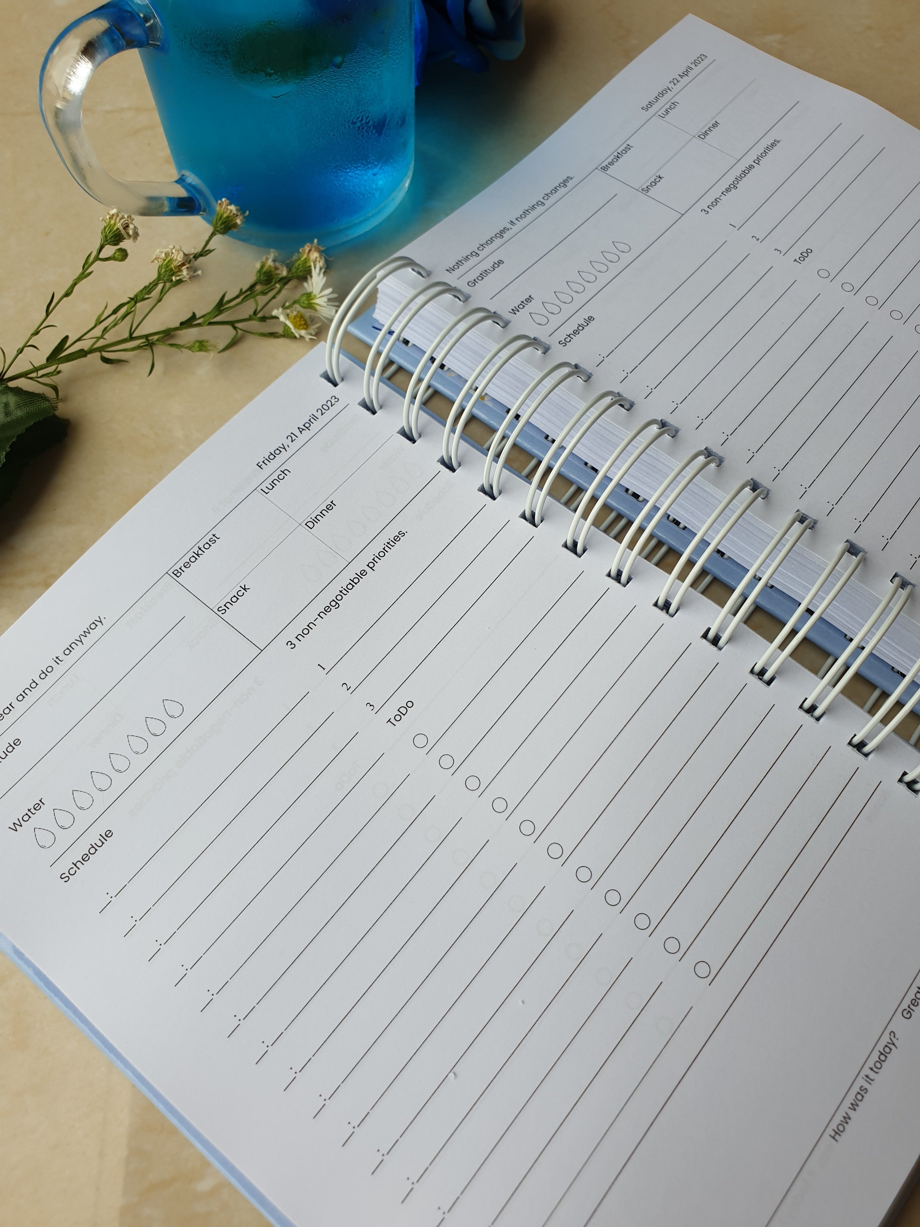2024  Paint Daily Planner