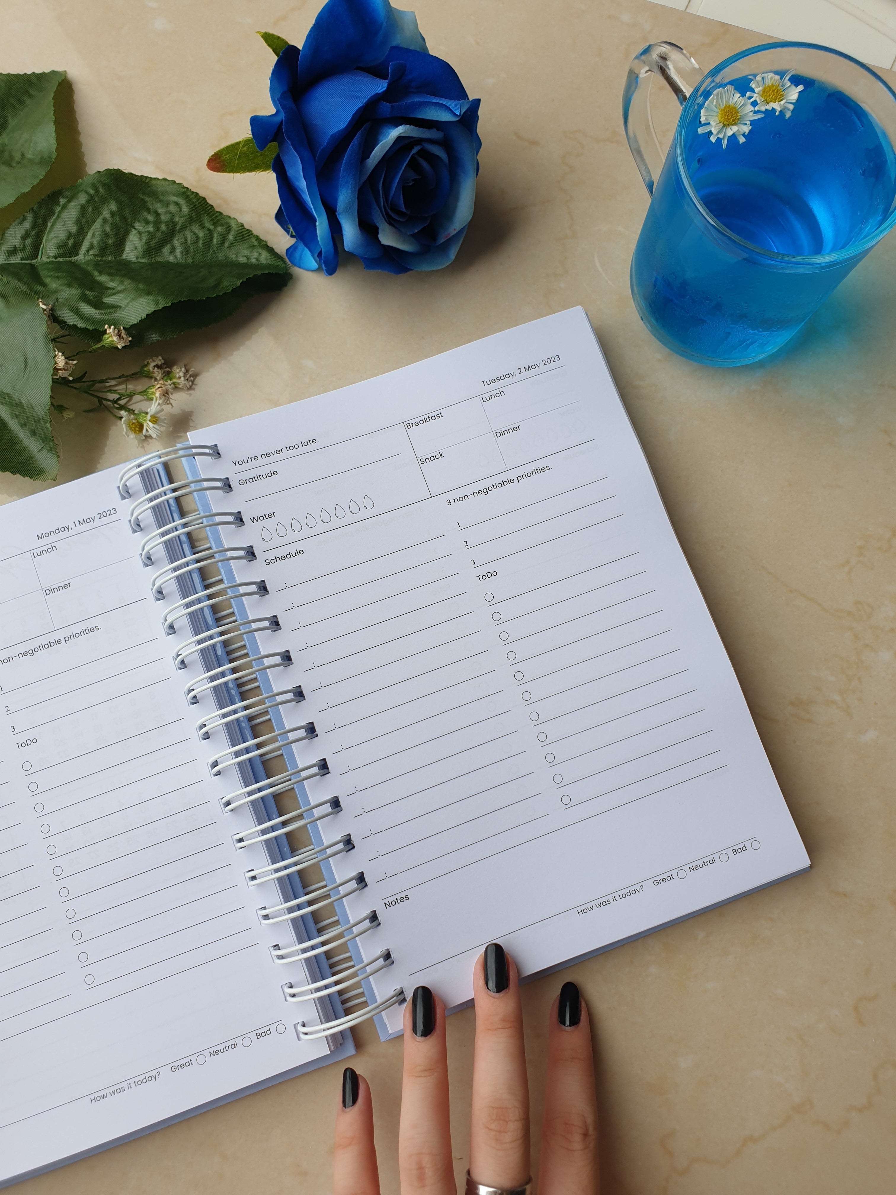2024  Paint Daily Planner