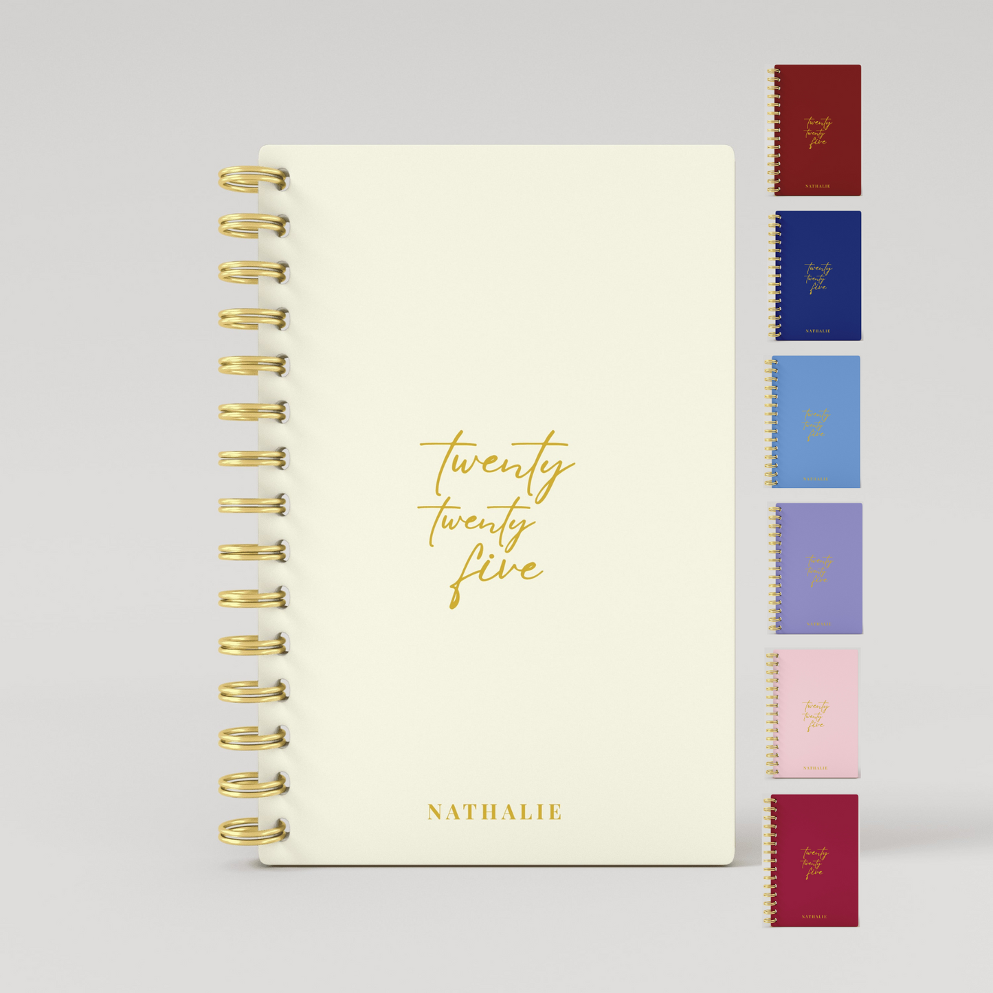 Twenty Twenty Five 2025 Daily Planner