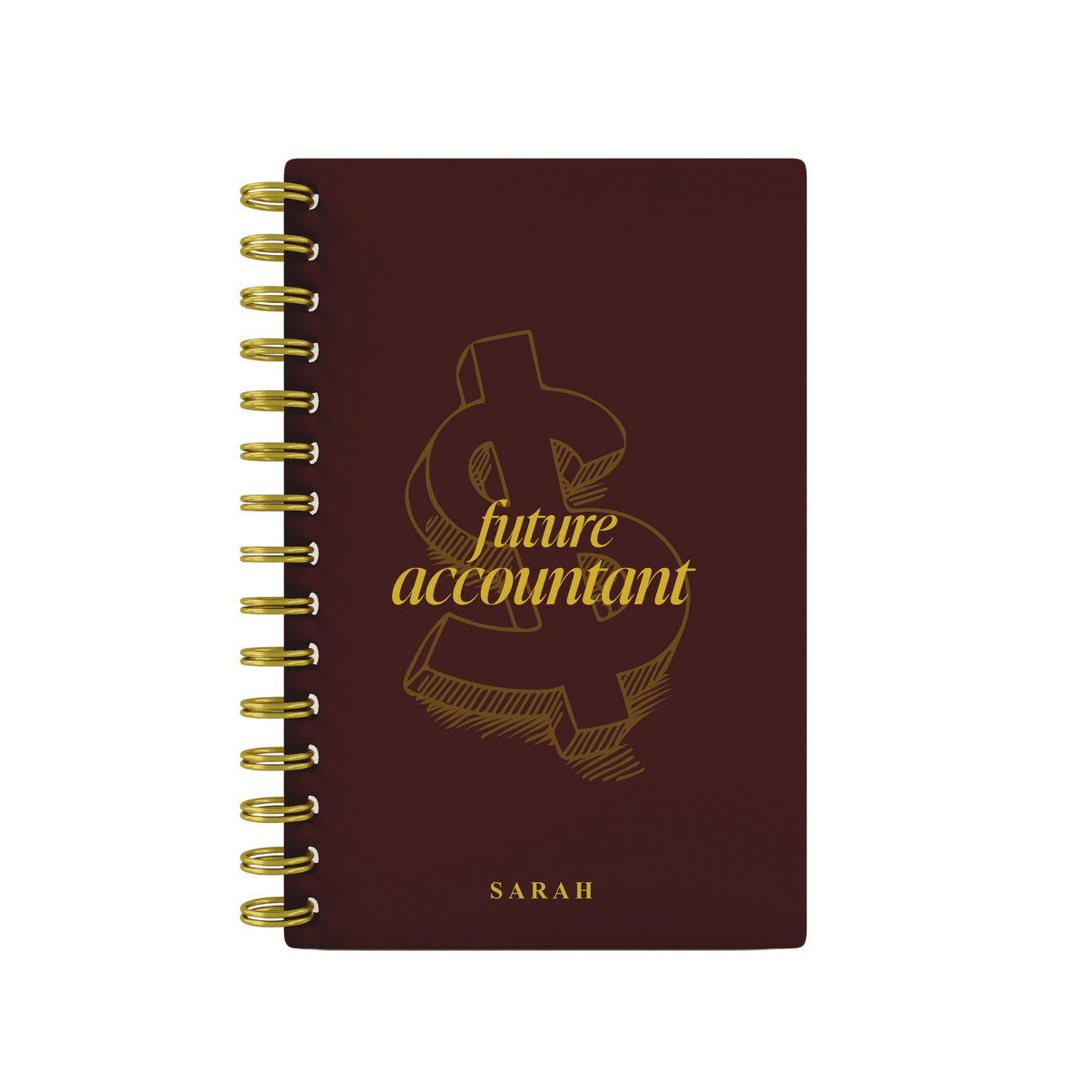 Future Accountant - Foil Lined Notebook