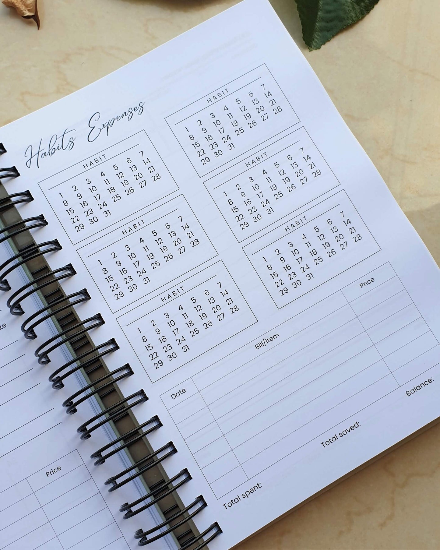 Dream. Inspire. Achieve Leopard  2024 Daily Planner