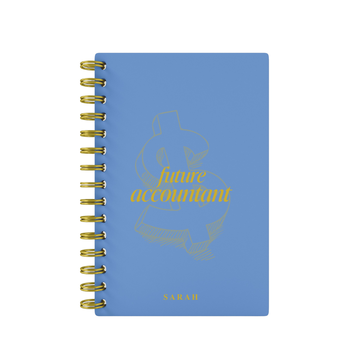 Future Accountant - Foil Lined Notebook