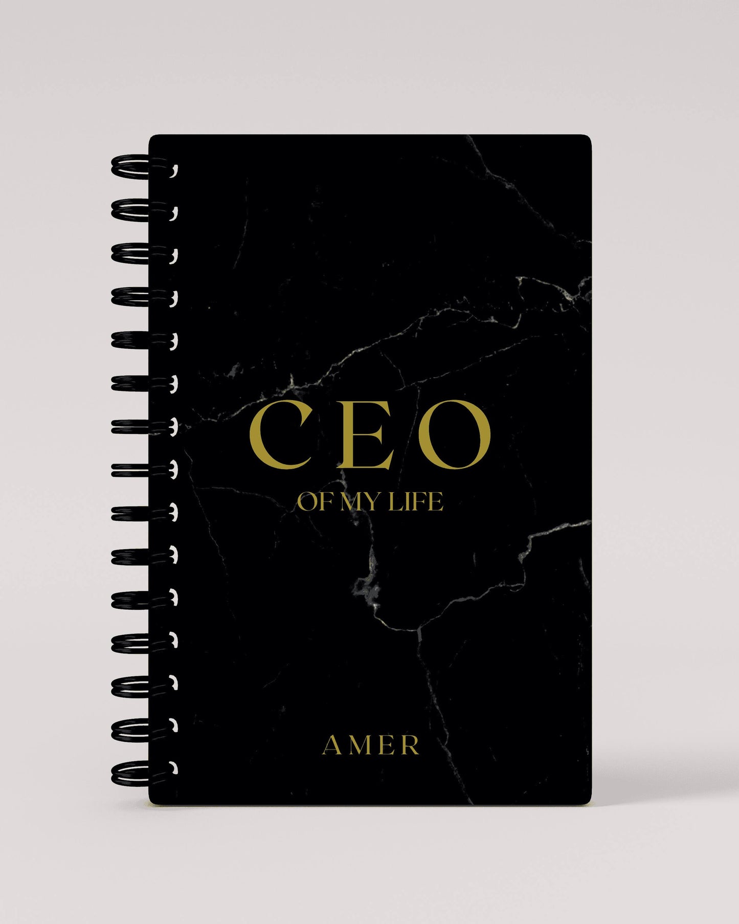 CEO of my life 2024 Daily Planner