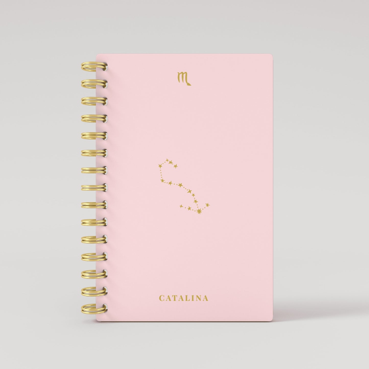 Gold Foil Constellation Zodiac Sign 2025 Daily Planner