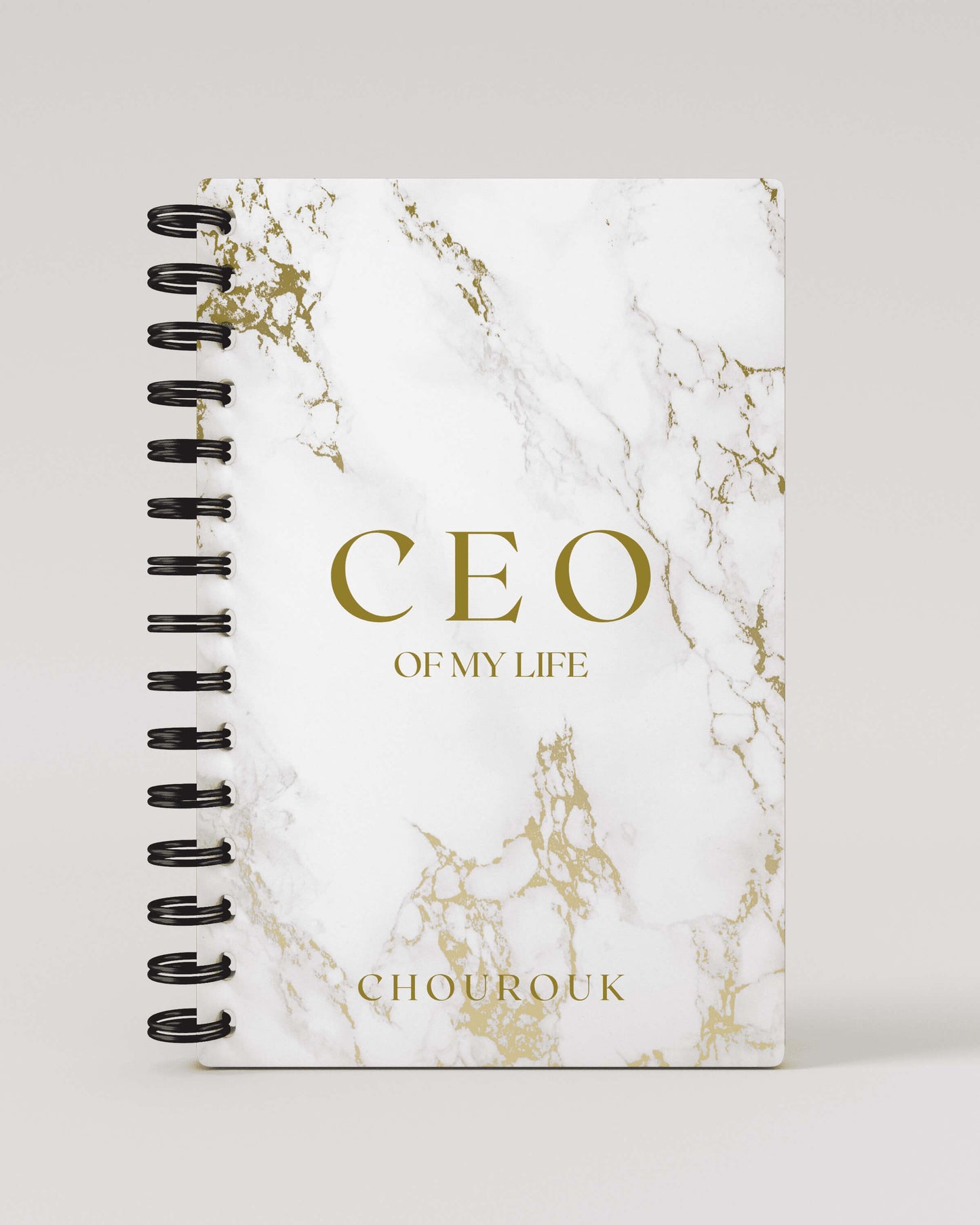 CEO of my life 2024 Daily Planner