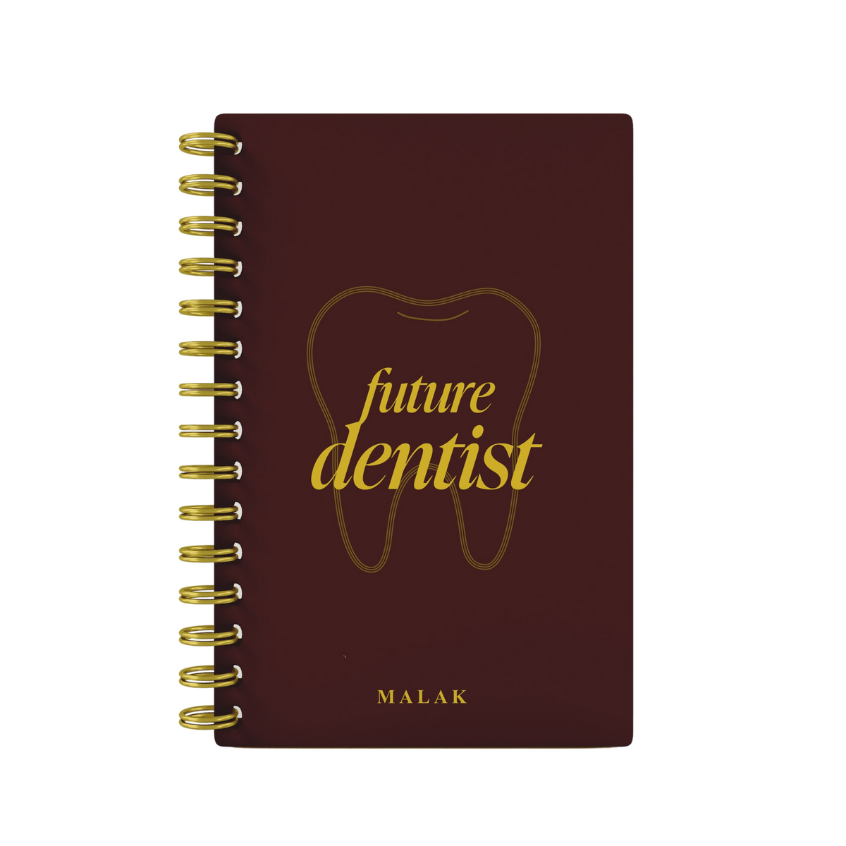 Future Dentist - Foil Lined Notebook