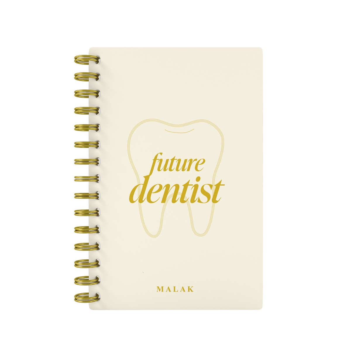 Future Dentist - Foil Lined Notebook