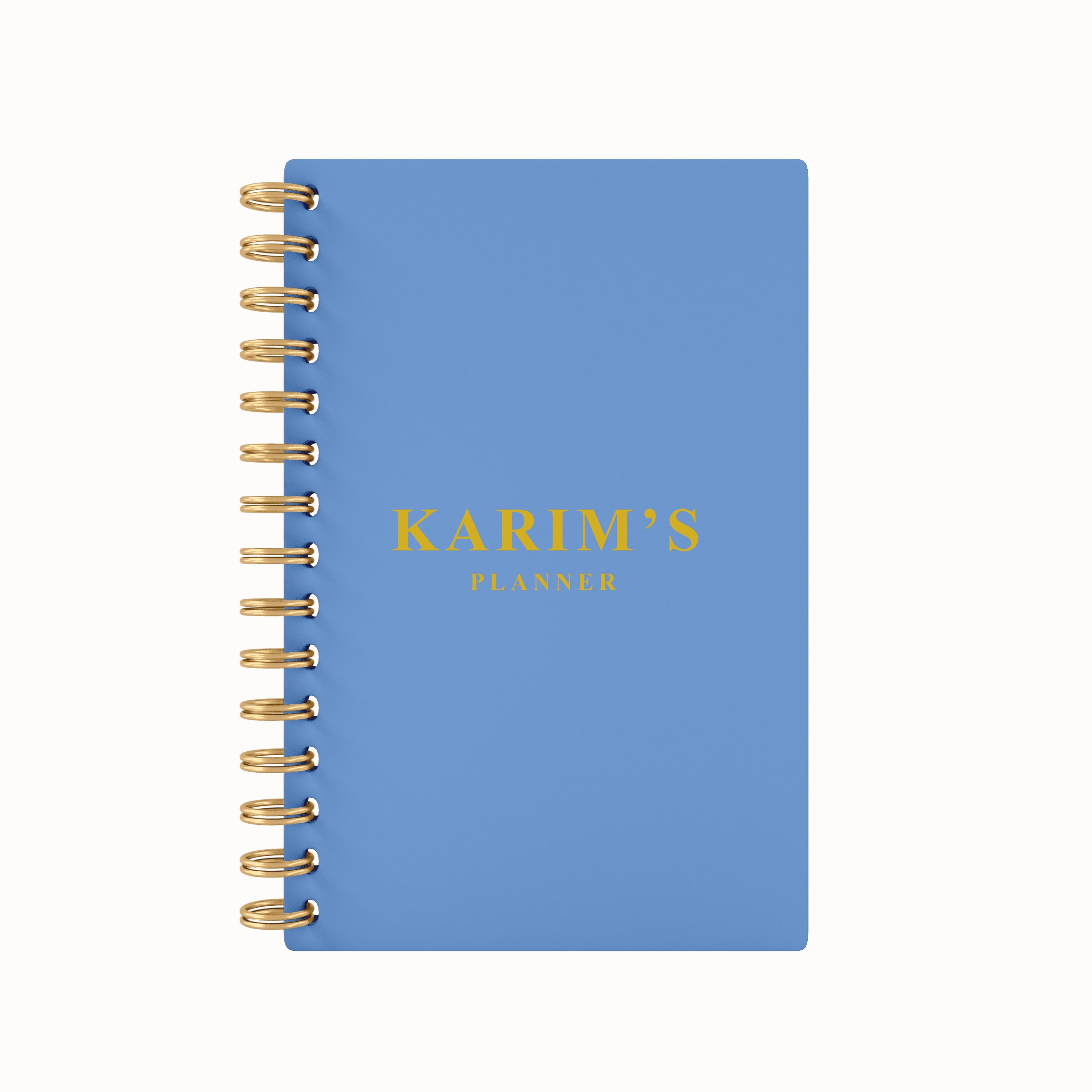 Any Name Foil 2026 Daily Planner