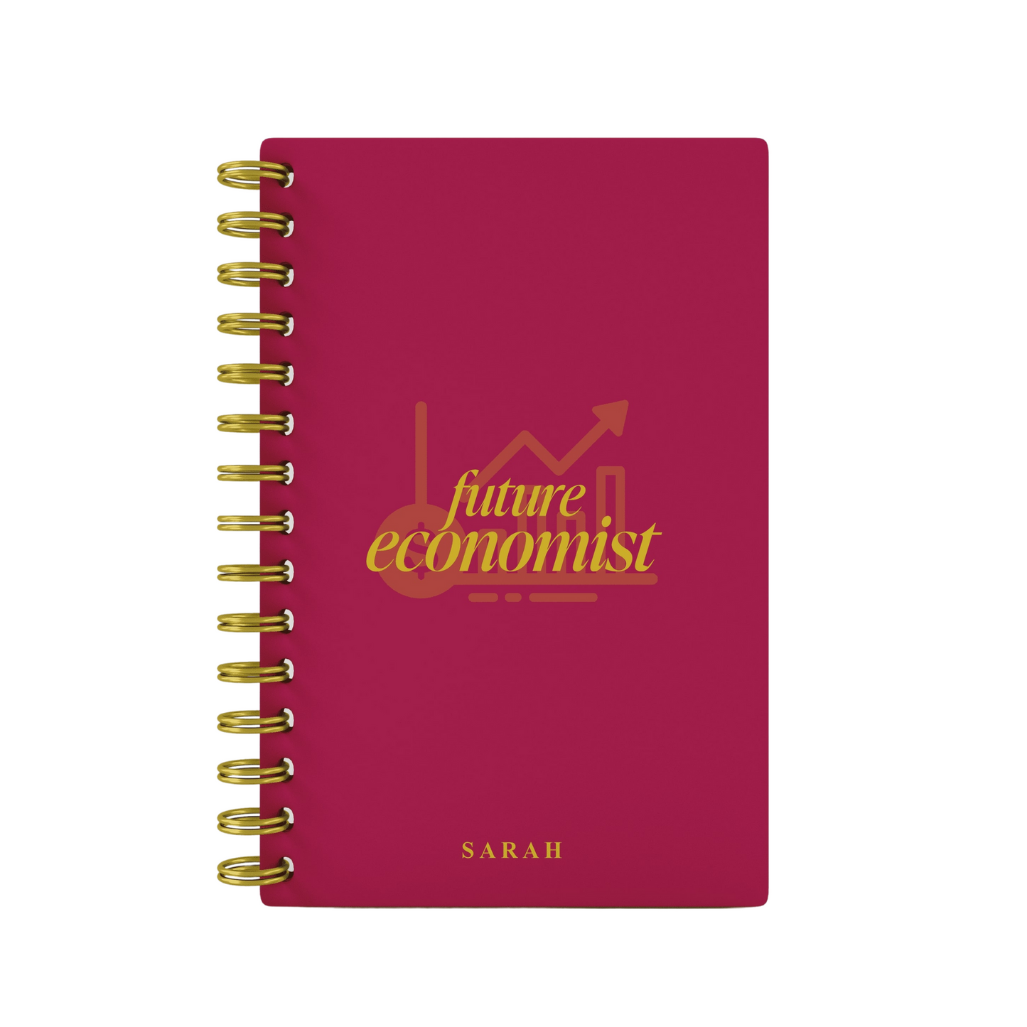 Future Economist - Foil Lined Notebook