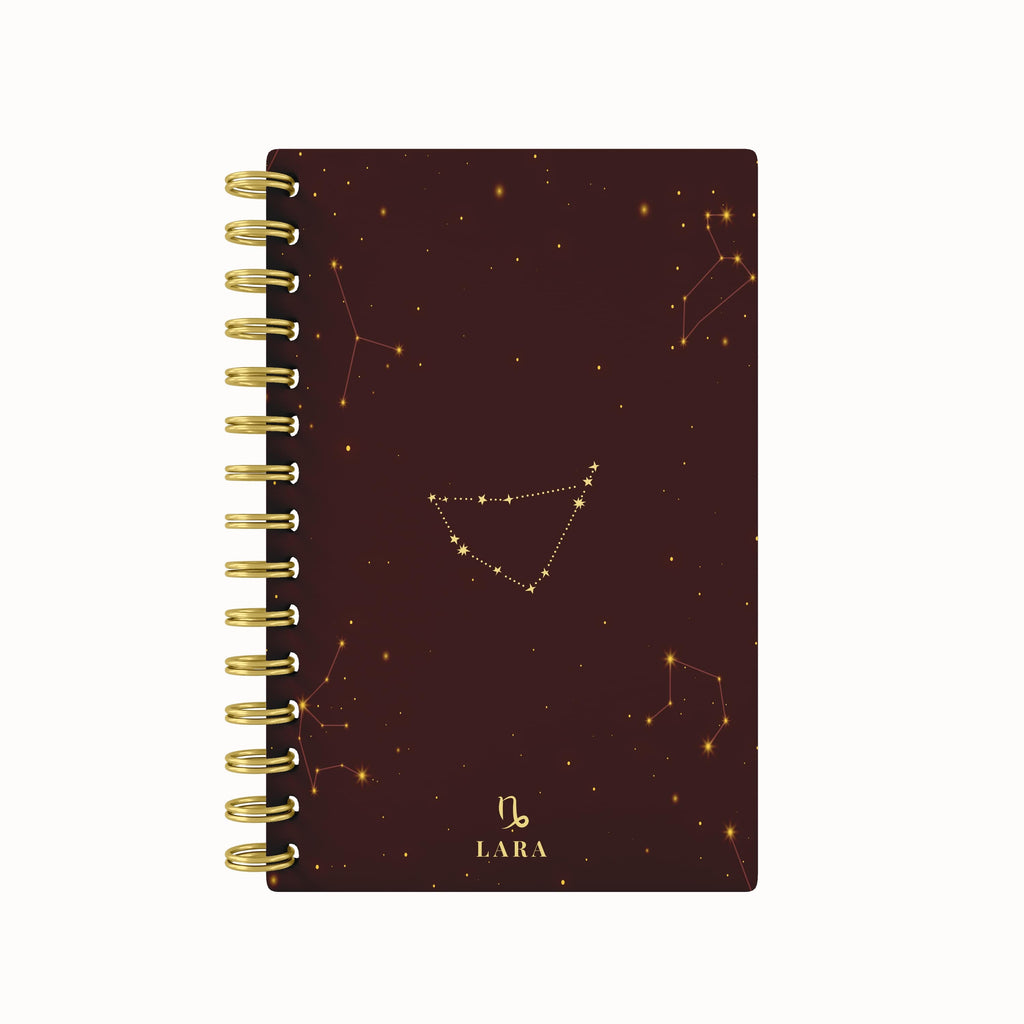 Zodiac Foil 2026 Daily Planner
