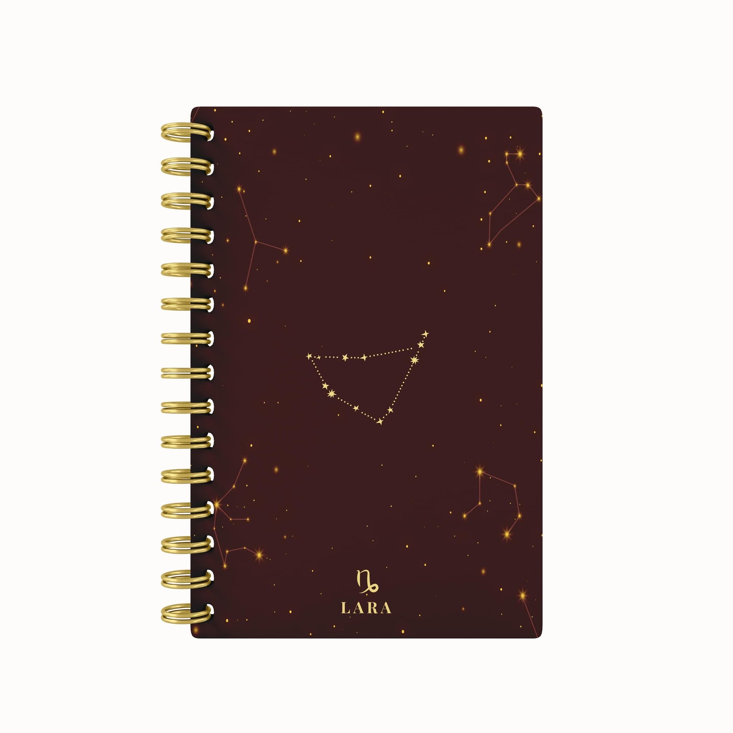 Zodiac Foil 2026 Daily Planner