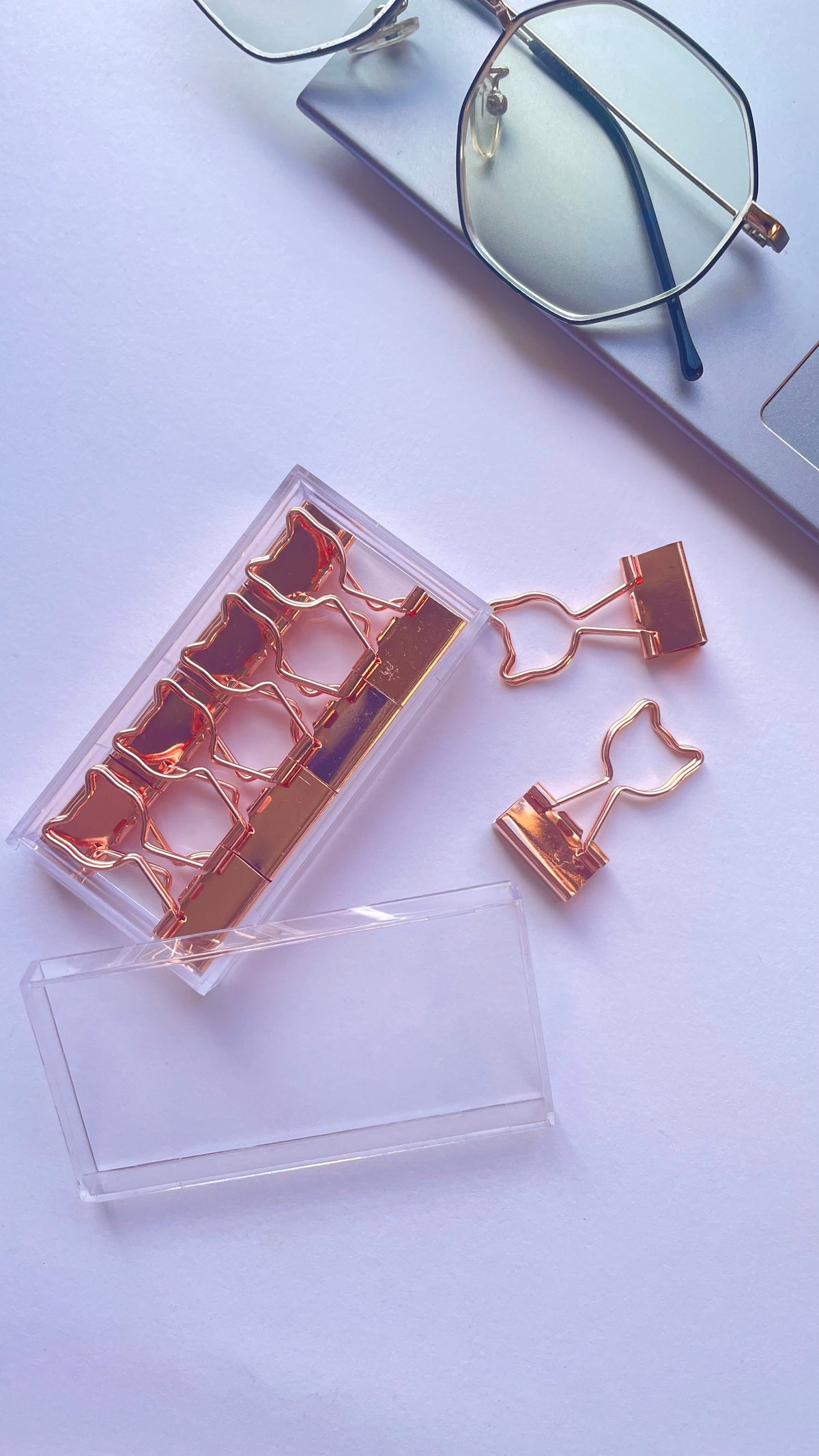 Aesthetic paper Clips Box Set