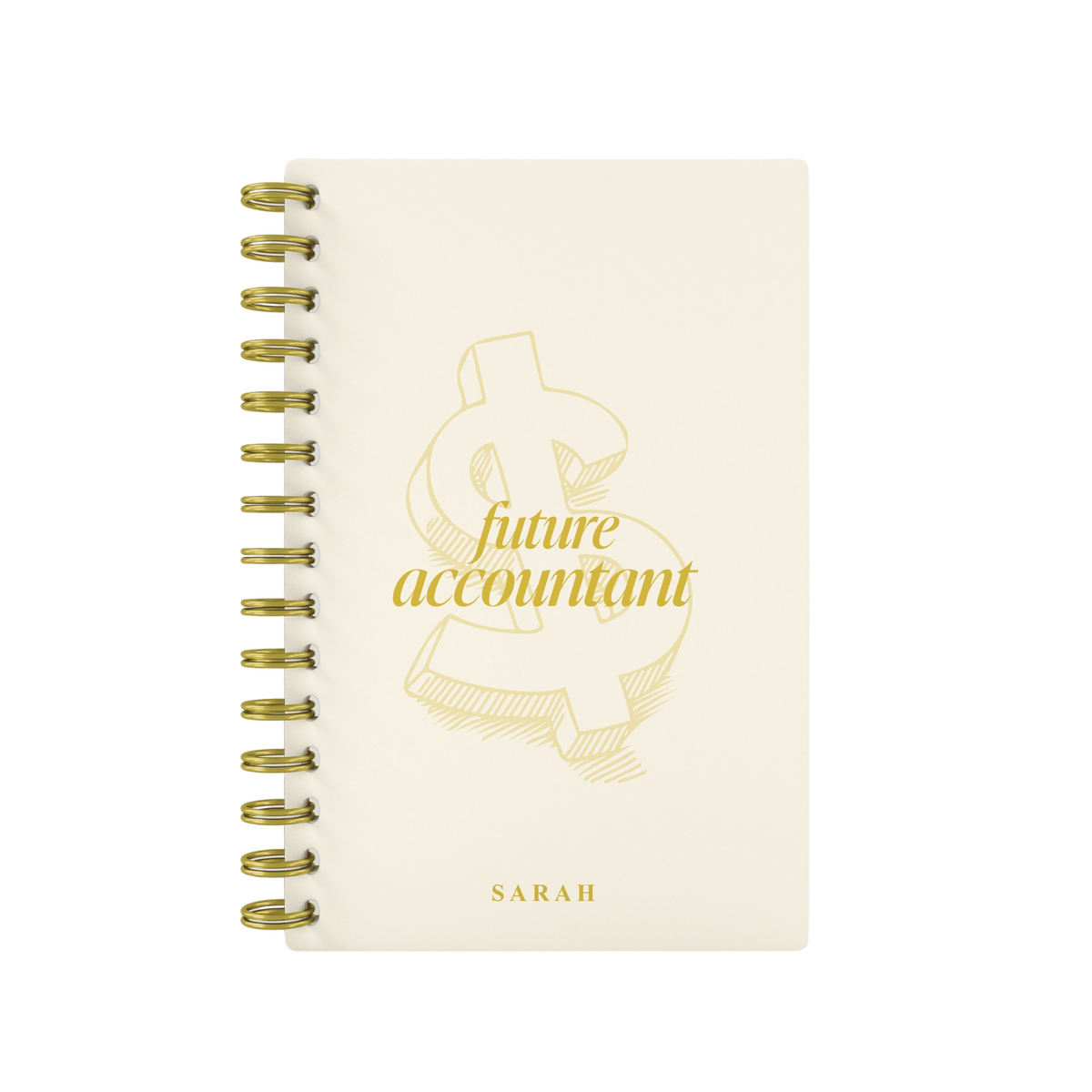 Future Accountant - Foil Lined Notebook