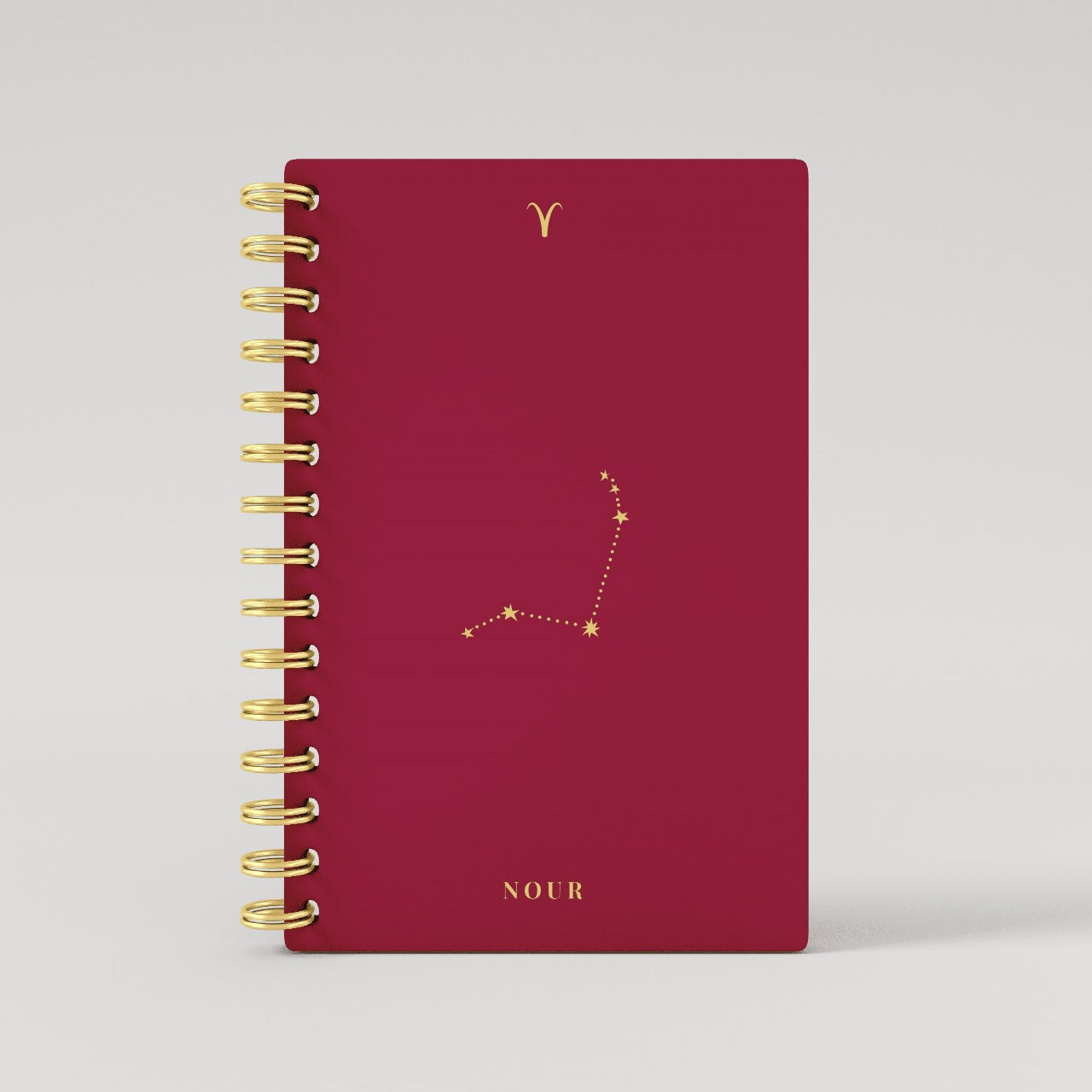 Gold Foil Constellation Zodiac Sign 2025 Daily Planner