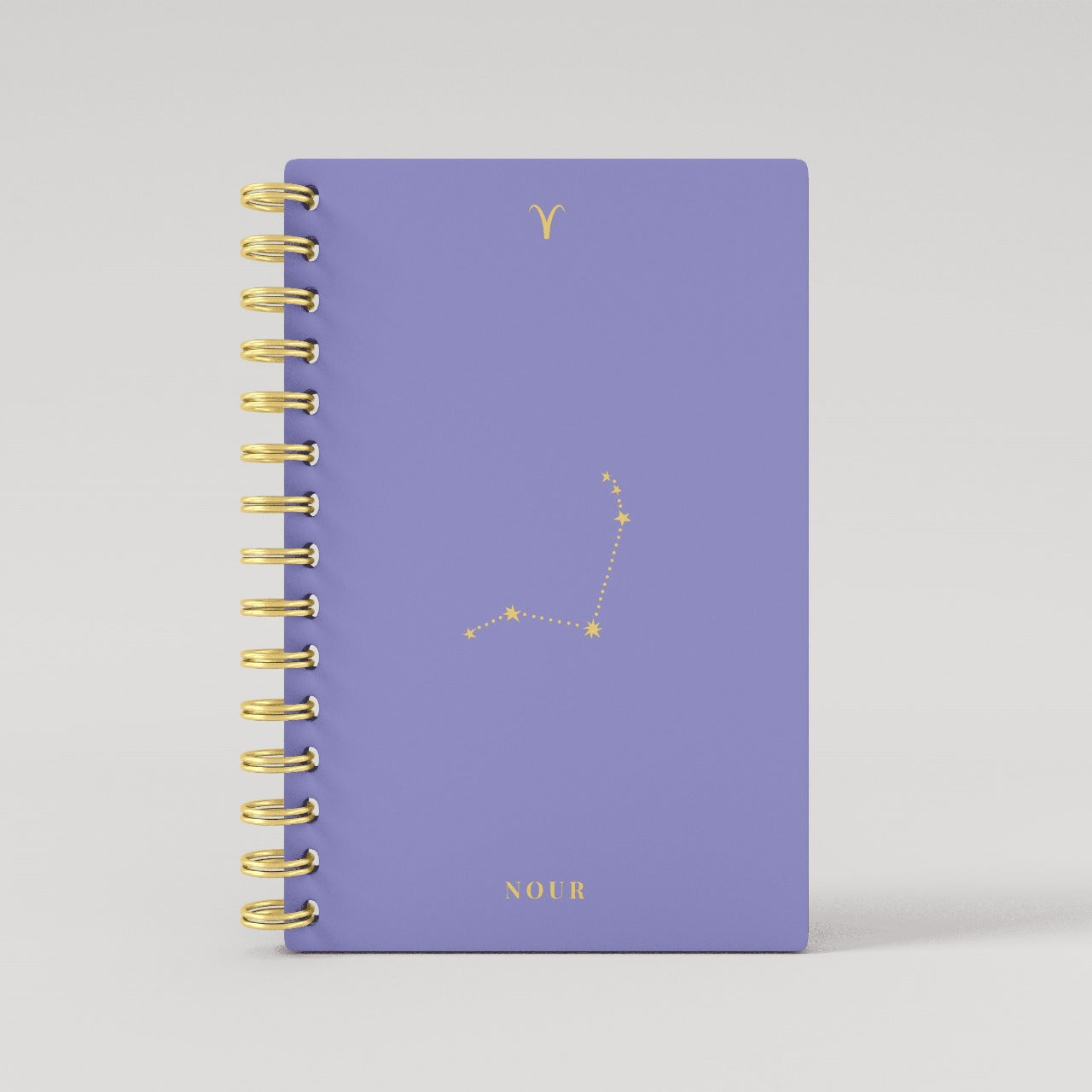 Gold Foil Constellation Zodiac Sign 2025 Daily Planner