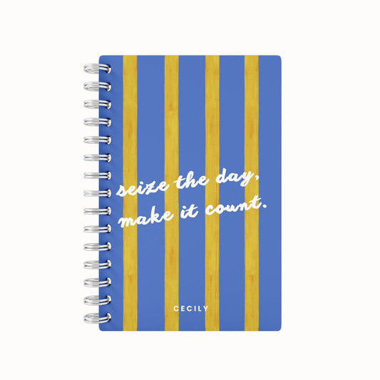 Seize The Day Stripes 2026 Desk Planner
