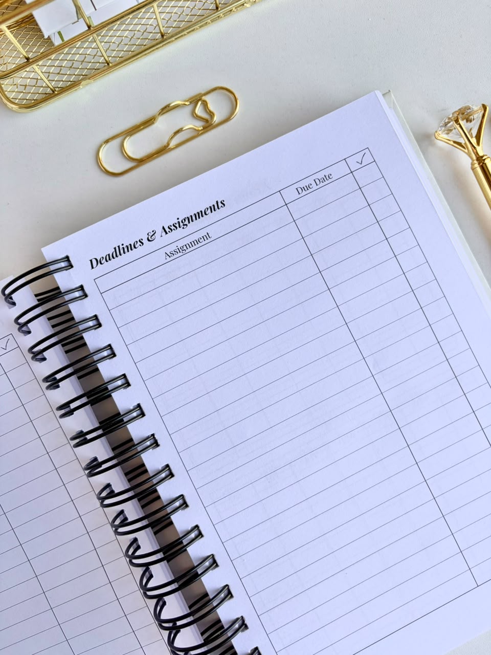 Evil Eye 2 - Teacher Planner