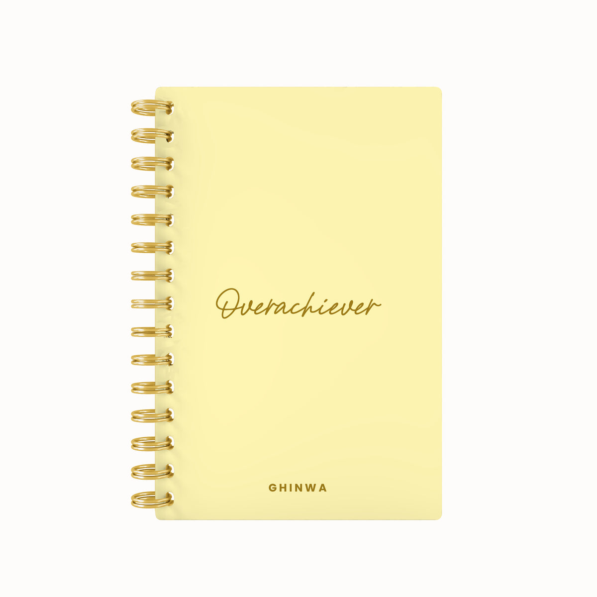 Overachiever Foil Lined Notebook