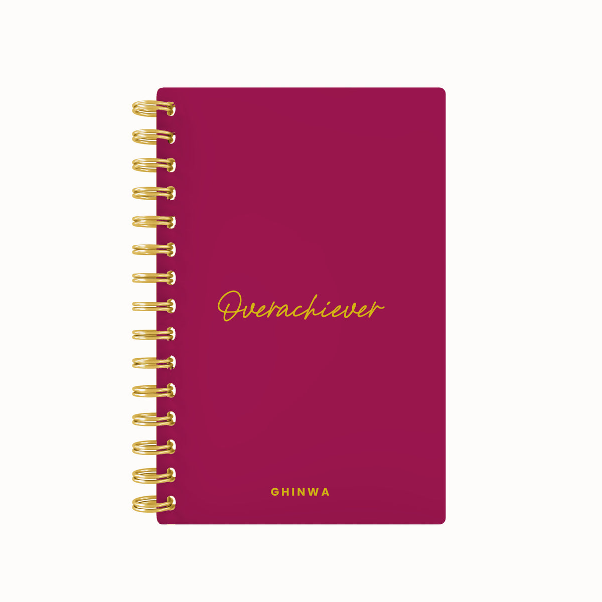 Overachiever Foil Lined Notebook