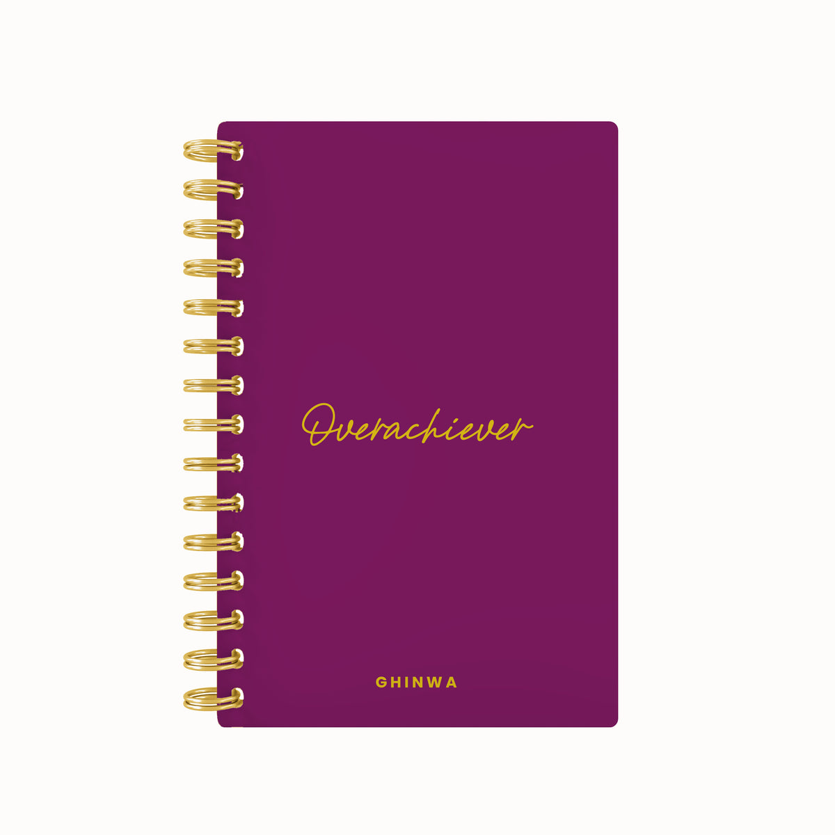 Overachiever Foil Lined Notebook