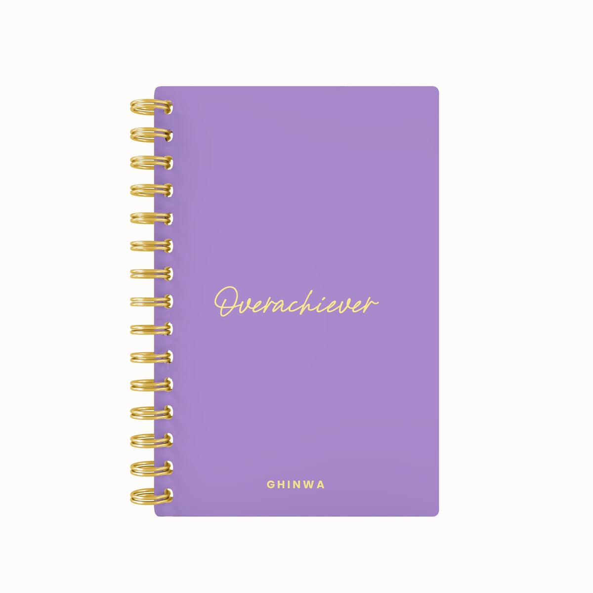 Overachiever Foil Lined Notebook
