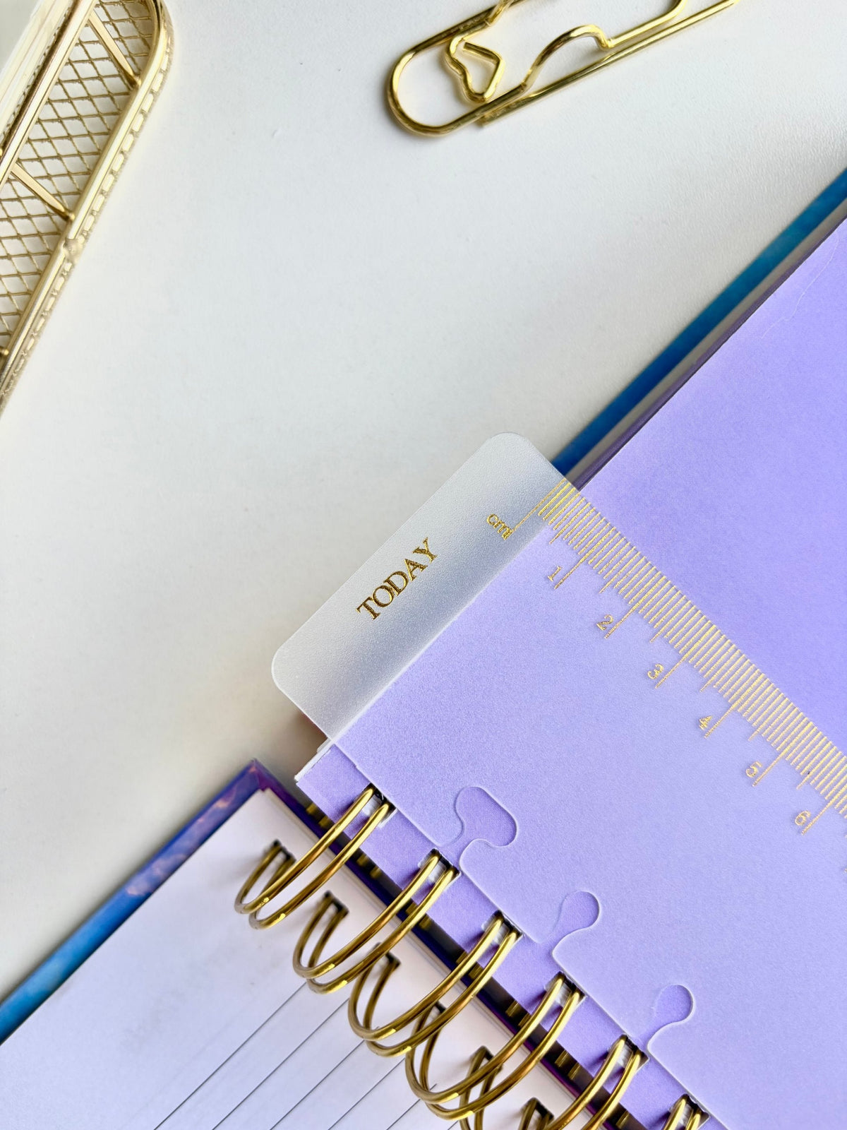 Bold 27 Daily Planner inside pages - 12