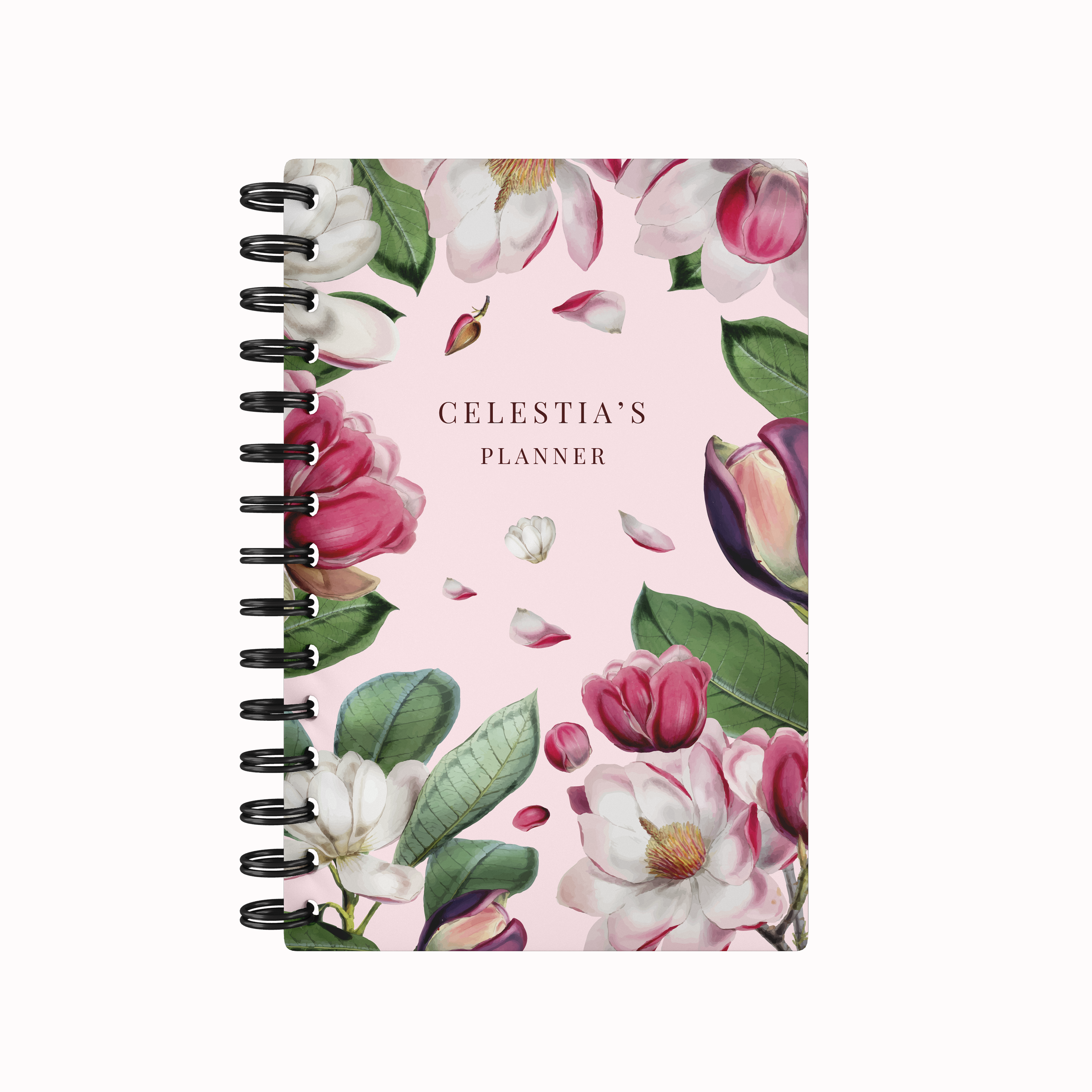 Fairytale - Teacher Planner
